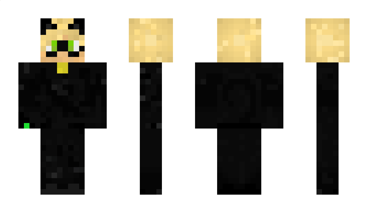 _P4TRYK_ Minecraft Skin