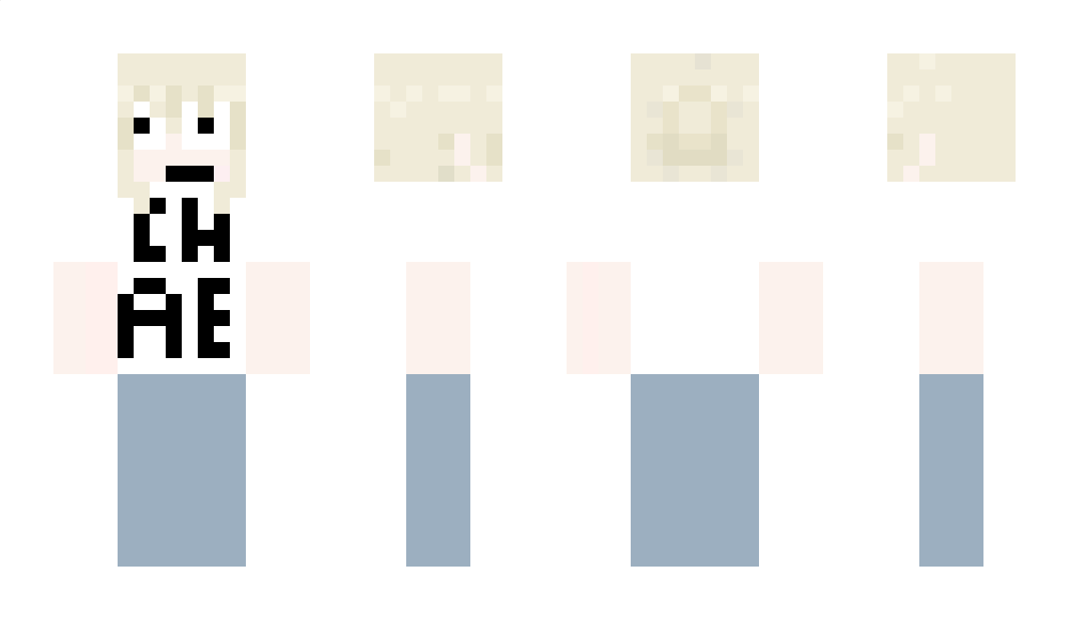 Aroundme Minecraft Skin