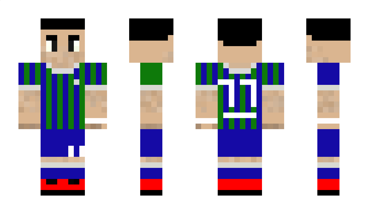 SNTQ01 Minecraft Skin