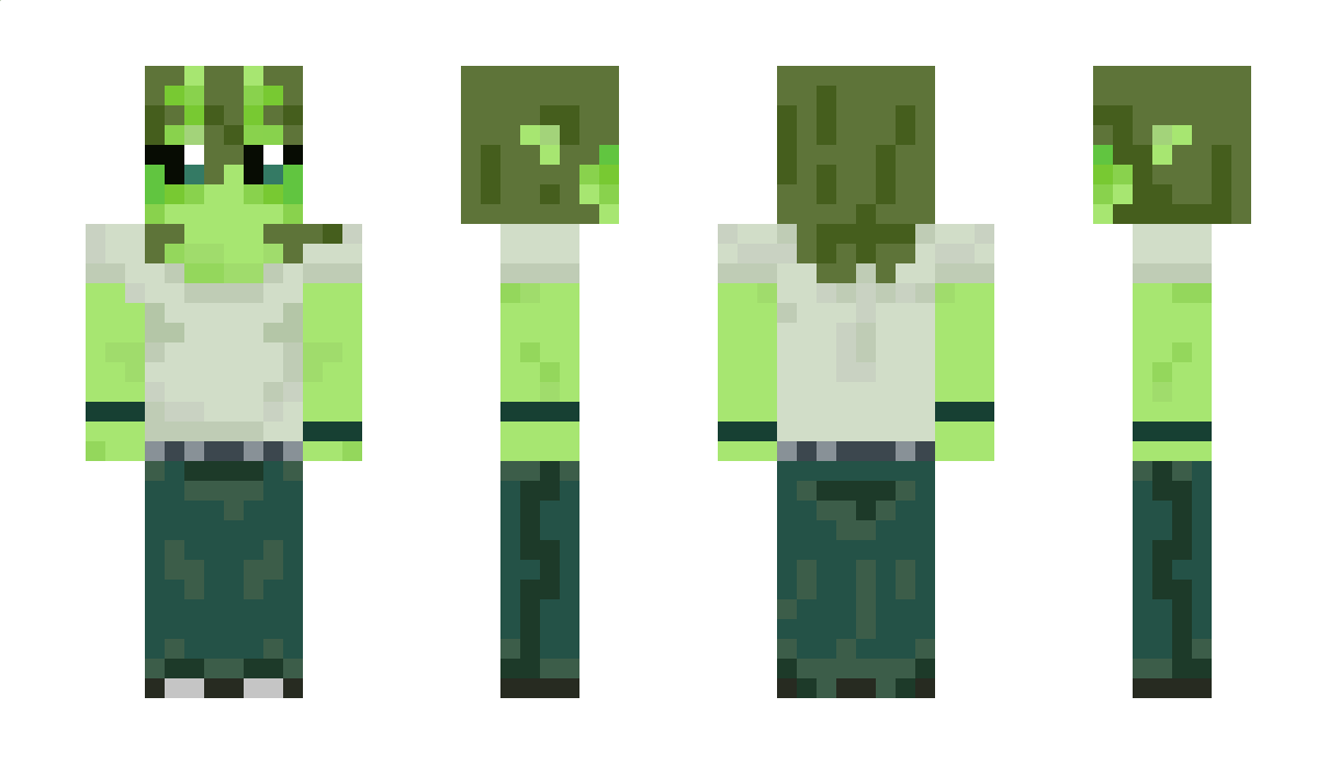 Kavashaka Minecraft Skin