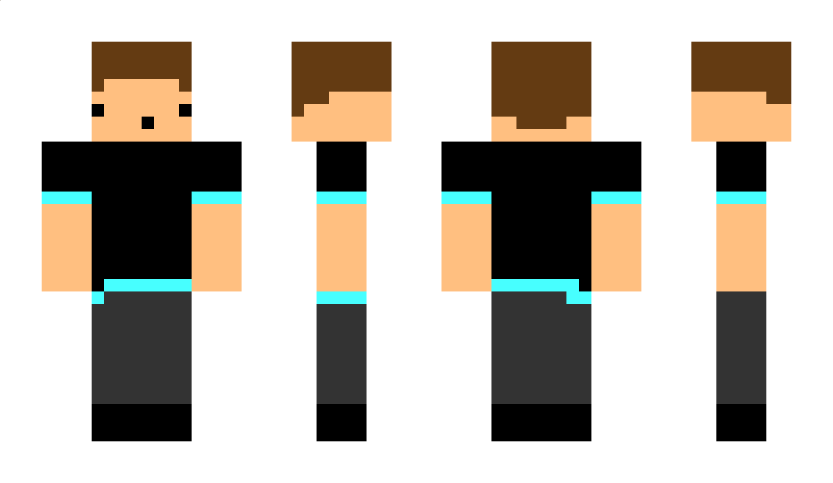 sprimation12 Minecraft Skin