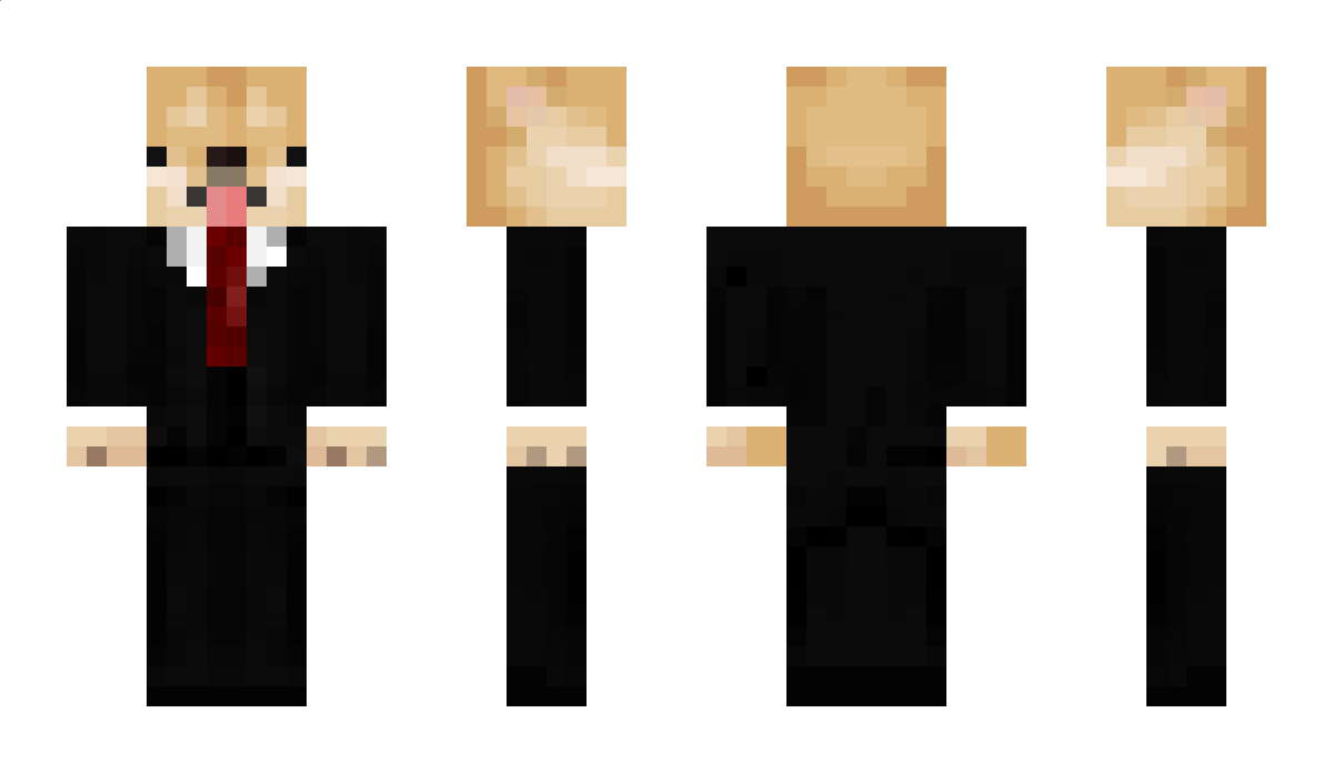 Rehusos Minecraft Skin