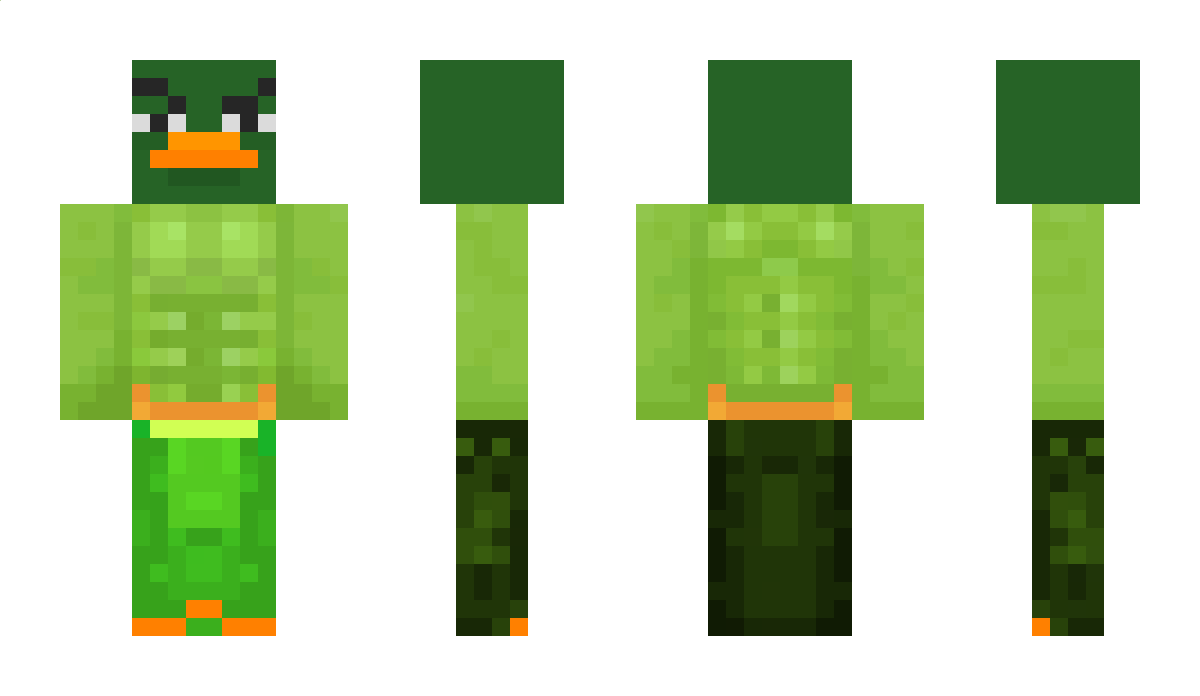 turtlemanNL Minecraft Skin