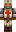 Arnick60 Minecraft Skin