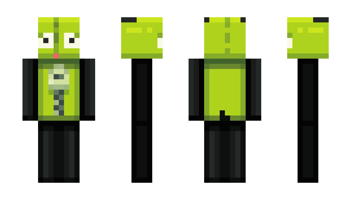 henkvanbrommel Minecraft Skin