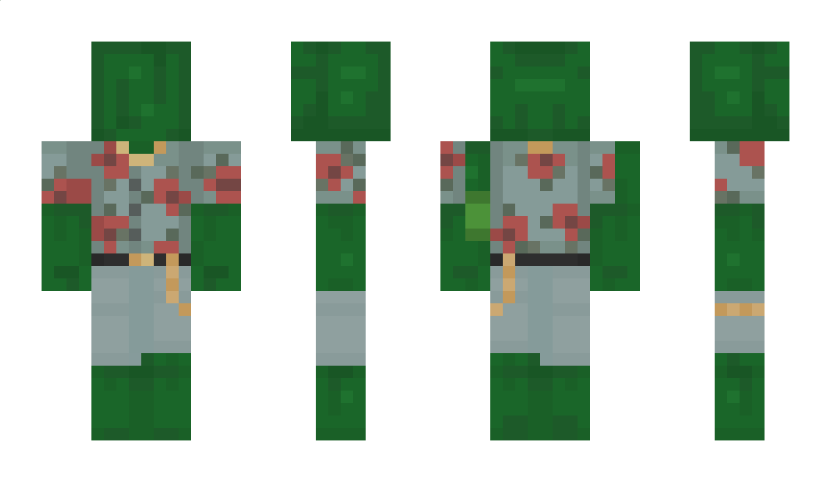 pickless11 Minecraft Skin