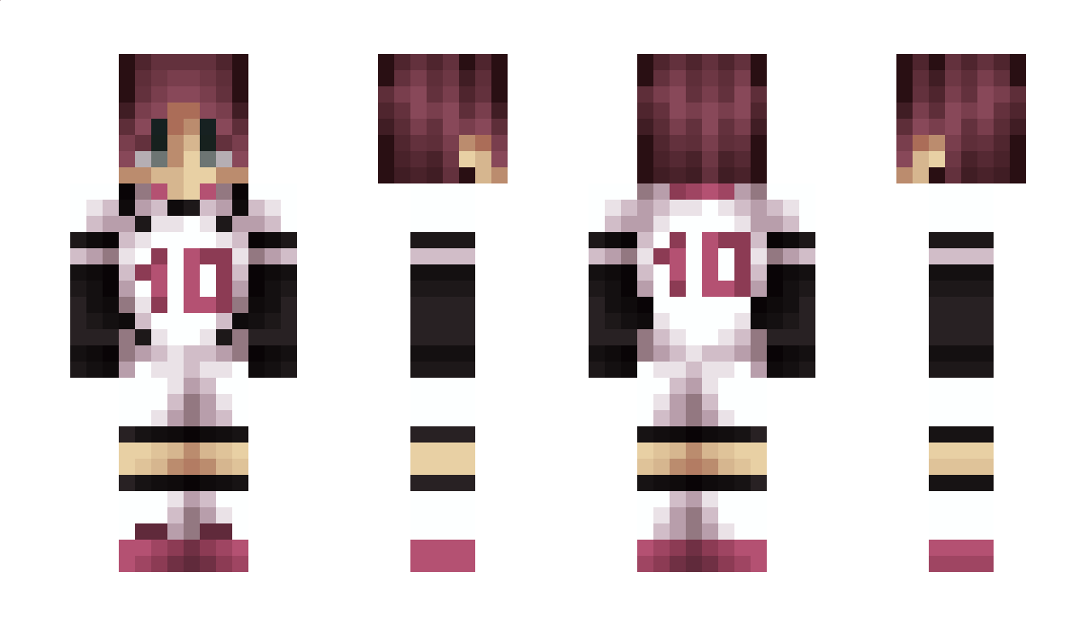 amongbus Minecraft Skin