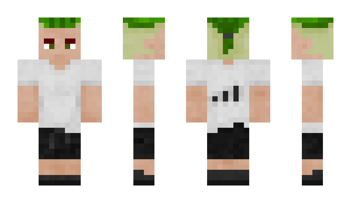 zipl0mchik Minecraft Skin