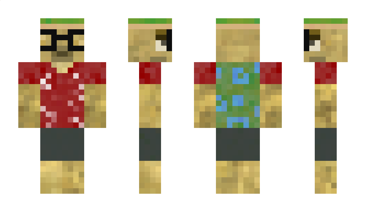 Tortimer Minecraft Skin