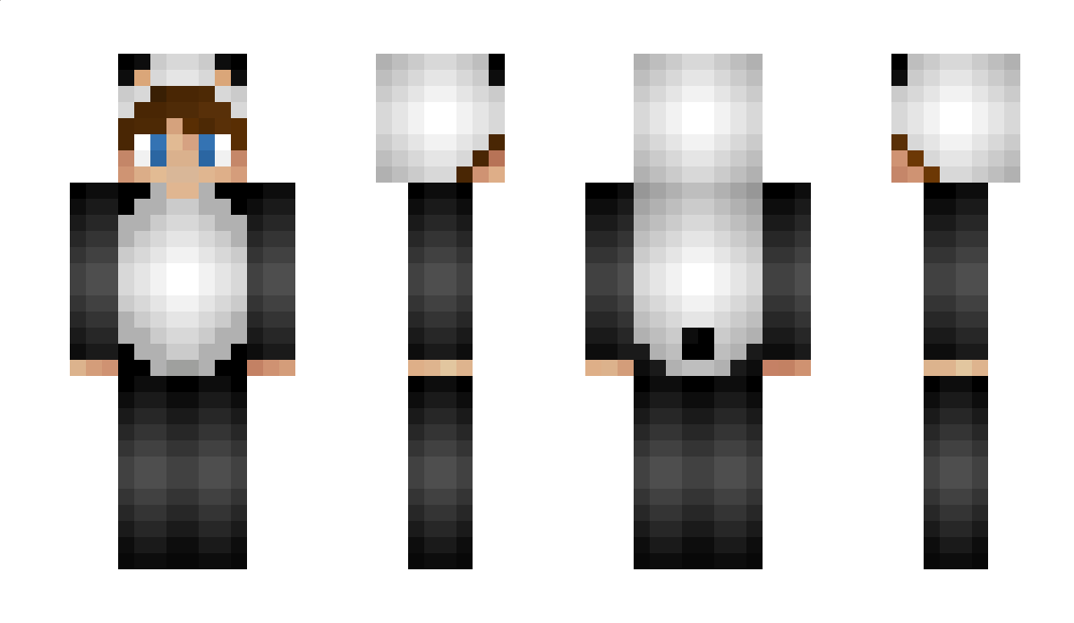 MrMildXD Minecraft Skin