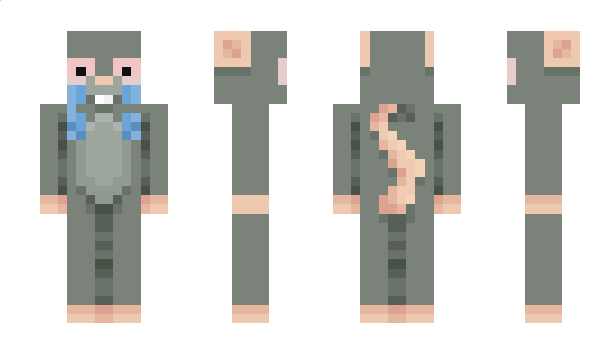 wndy Minecraft Skin