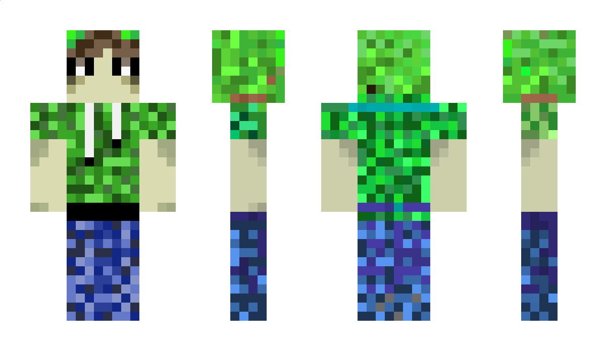 Logischer Minecraft Skin