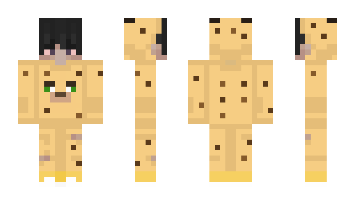 Vidi77a Minecraft Skin