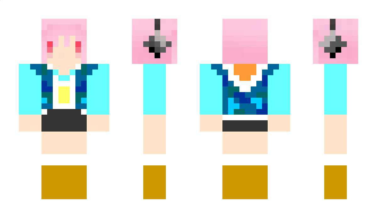 ER2 Minecraft Skin