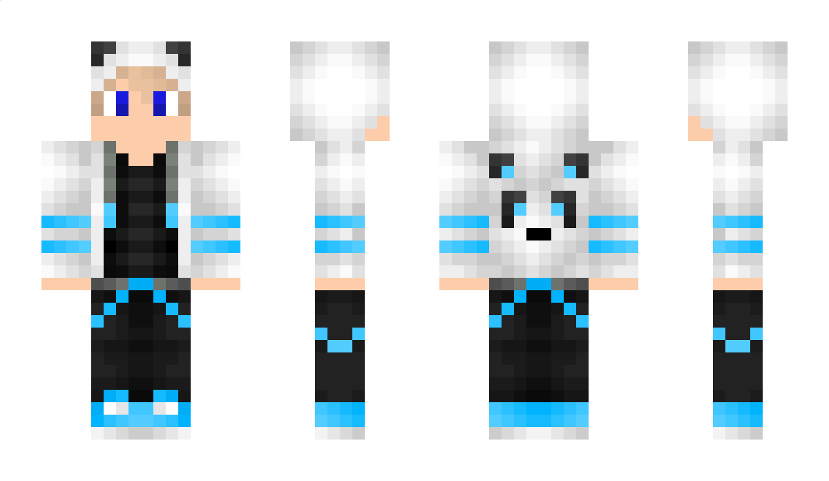 StinkyGamer309 Minecraft Skin