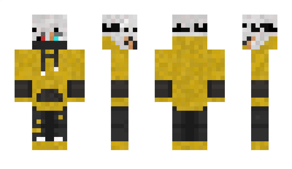 Meinsterzin Minecraft Skin