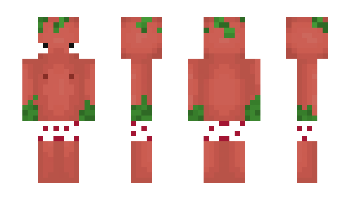 N0cnyP0midoreq Minecraft Skin