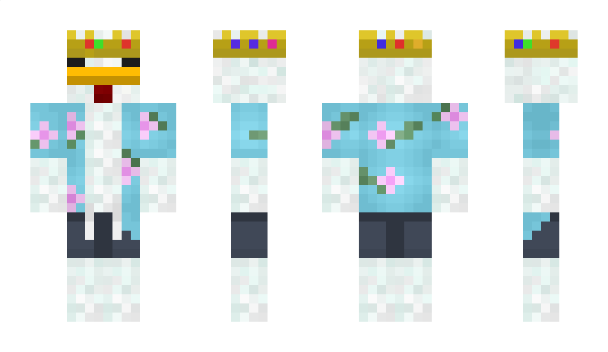 Qqqrwhwb11 Minecraft Skin