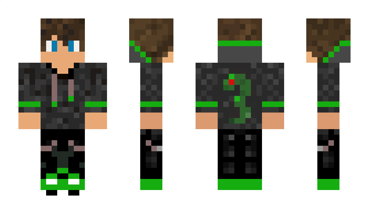 DiamondSnake291 Minecraft Skin