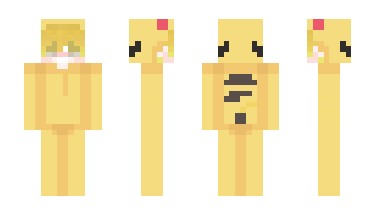 General_cats Minecraft Skin