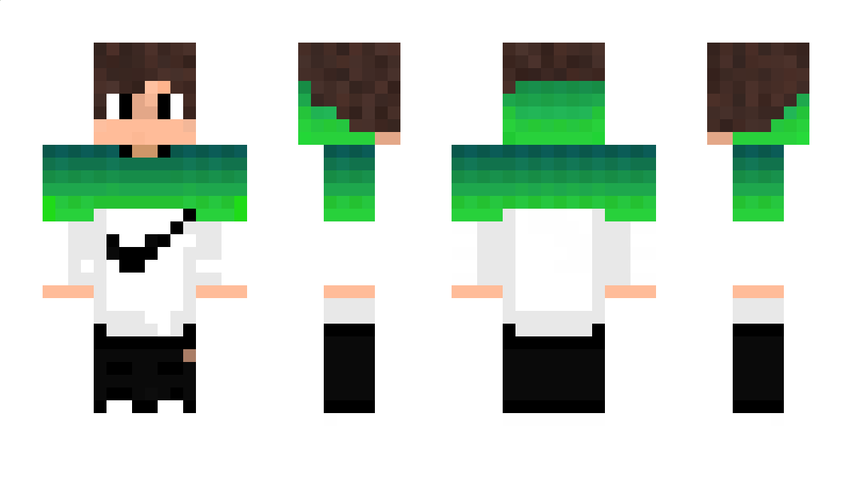 Assssss Minecraft Skin