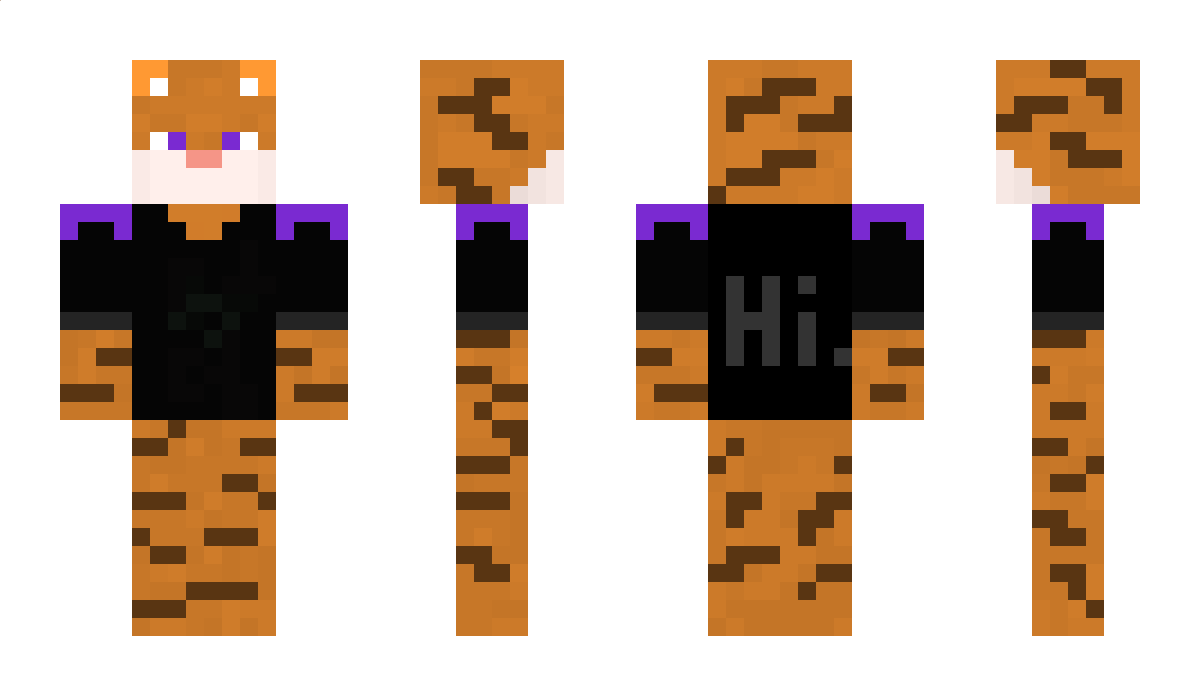 MrKatze999 Minecraft Skin