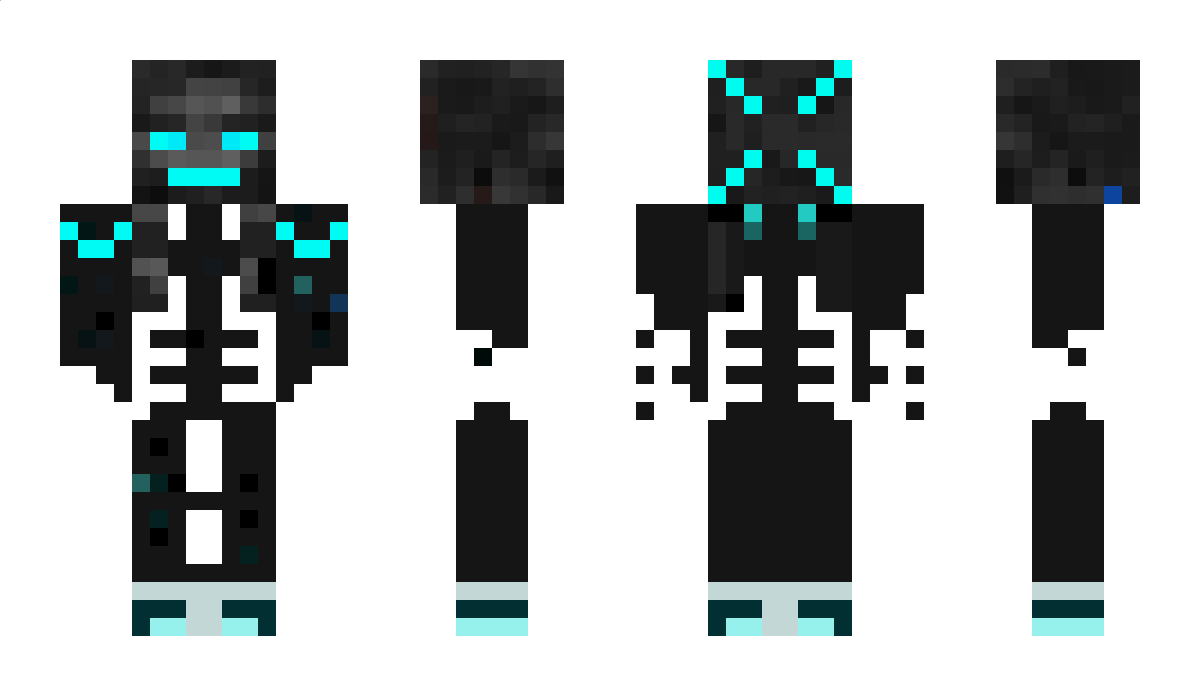 ltsWither Minecraft Skin