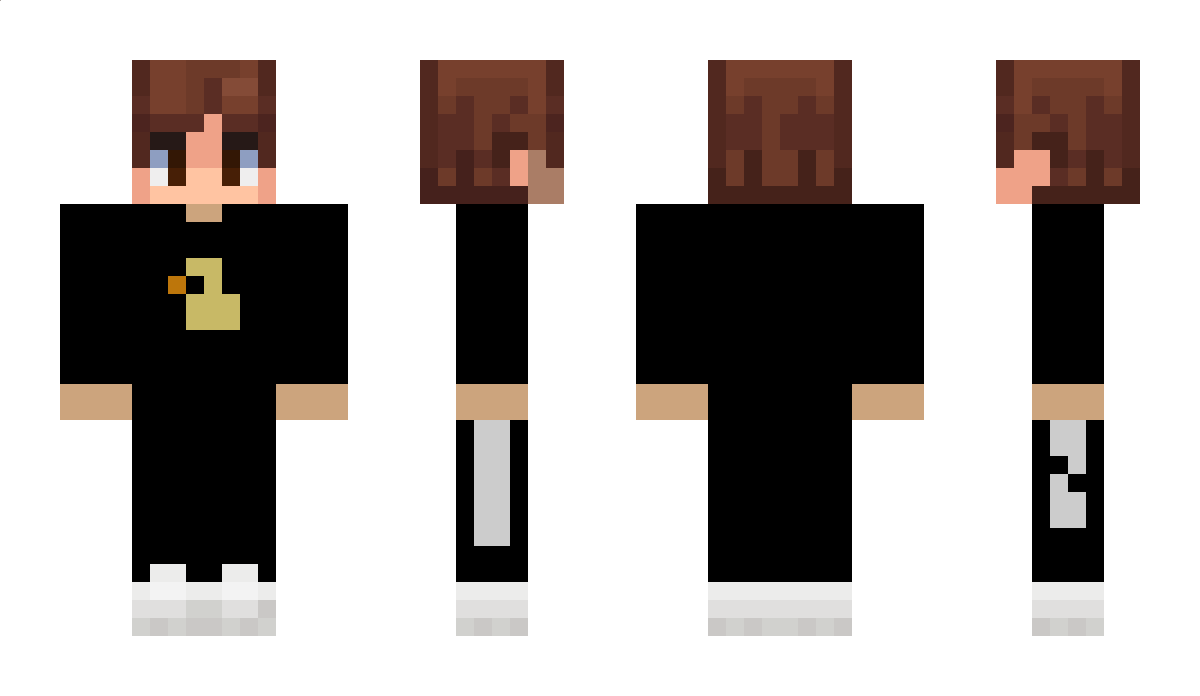 SkyFall_Go Minecraft Skin