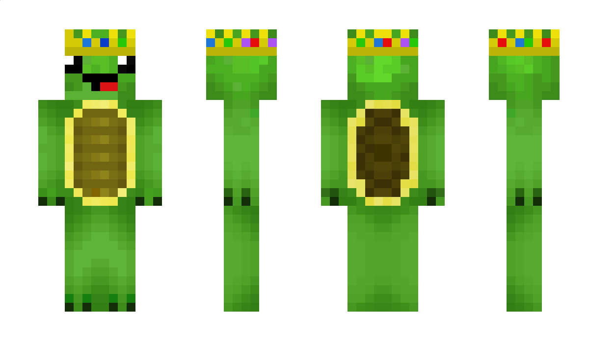 turtle737 Minecraft Skin