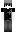 litt____ Minecraft Skin