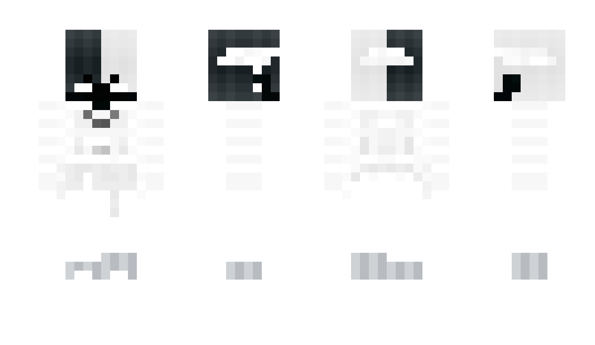 Slyless Minecraft Skin