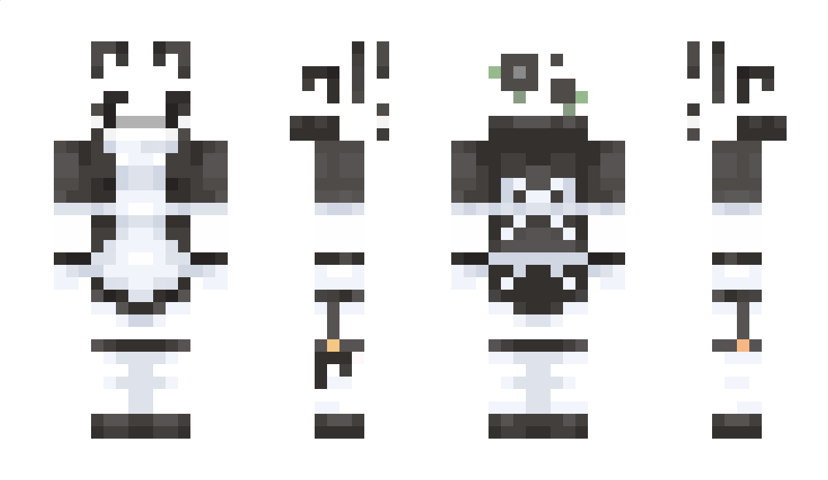 Schlooof Minecraft Skin