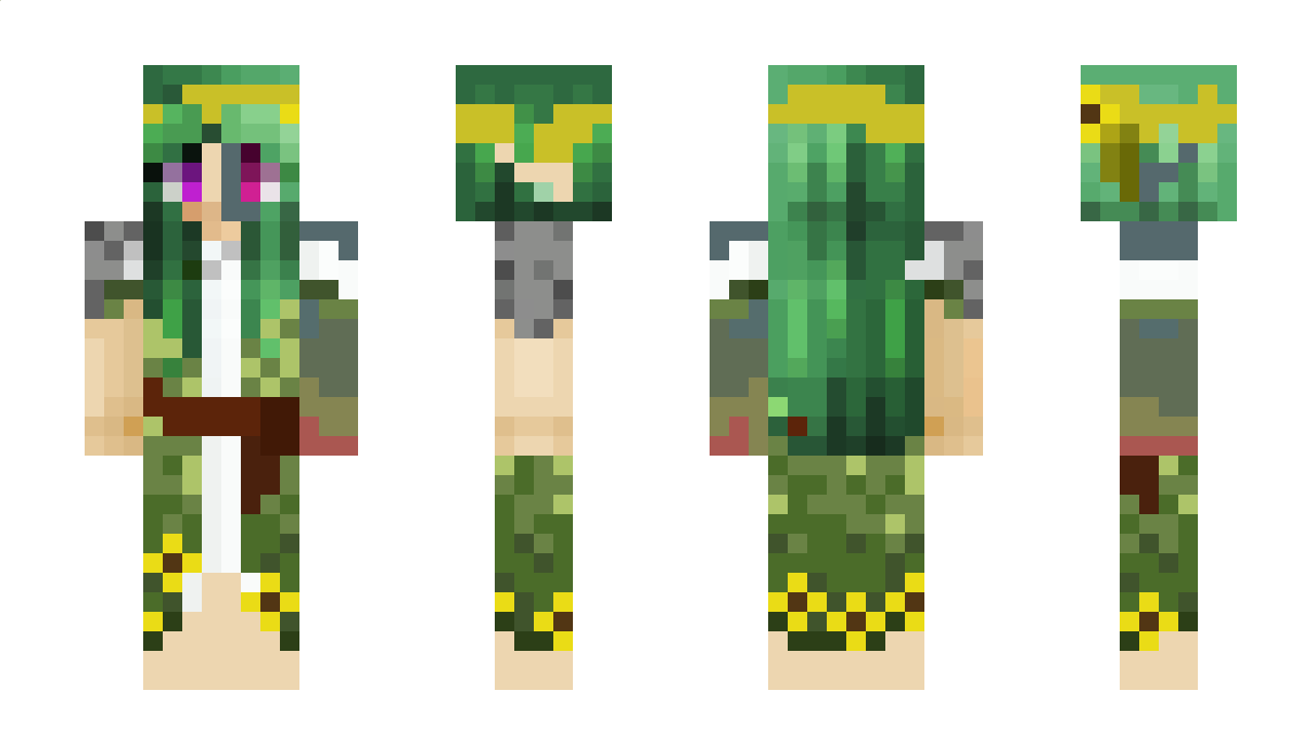 Pirate_bee Minecraft Skin