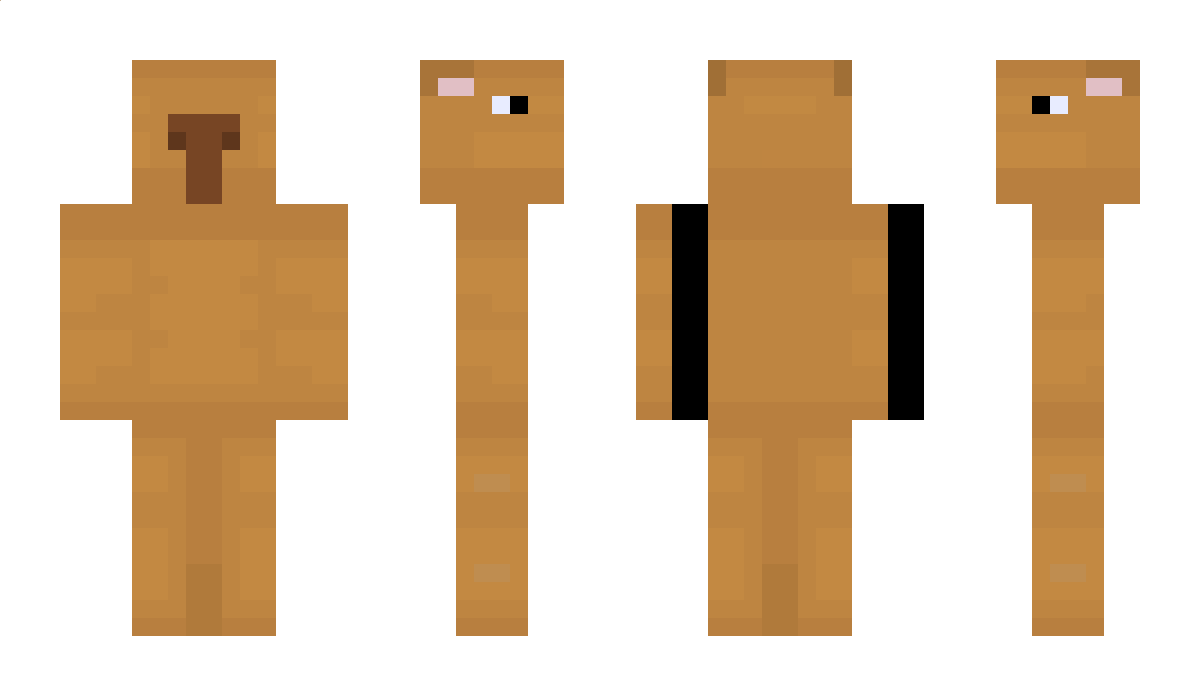 Saxophoniste Minecraft Skin