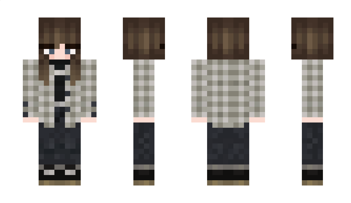 Chevaliers Minecraft Skin