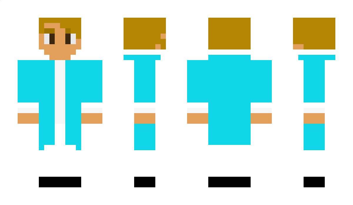 Ace_Mist Minecraft Skin