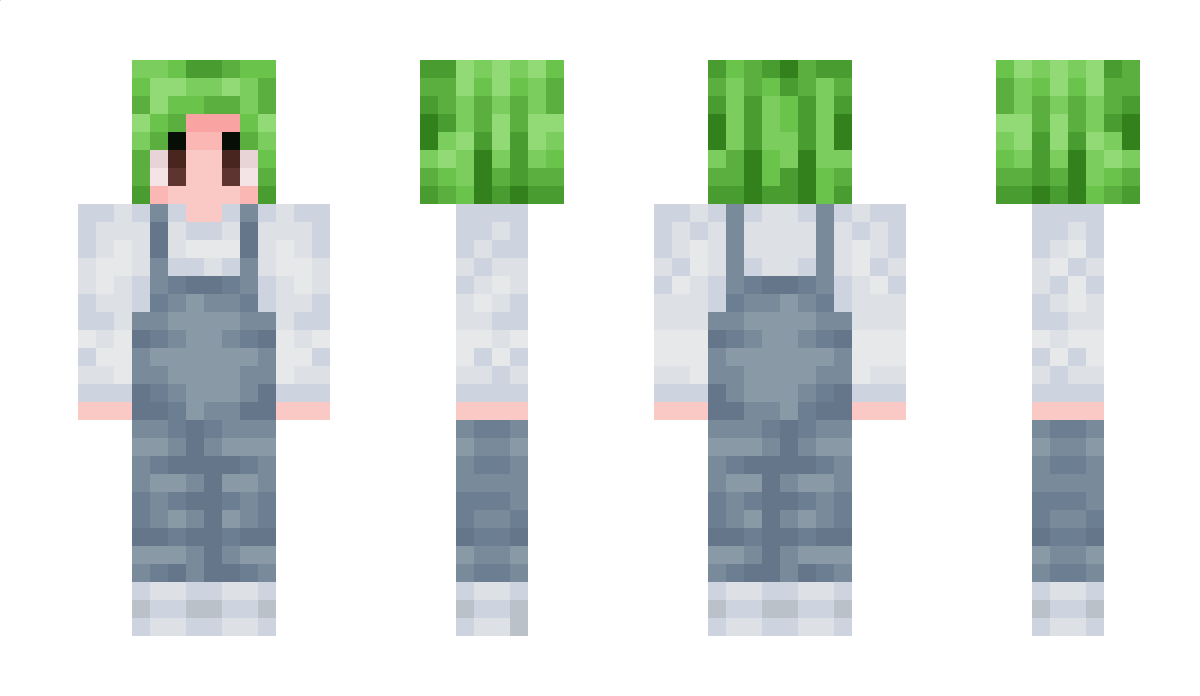 FairyZelz Minecraft Skin