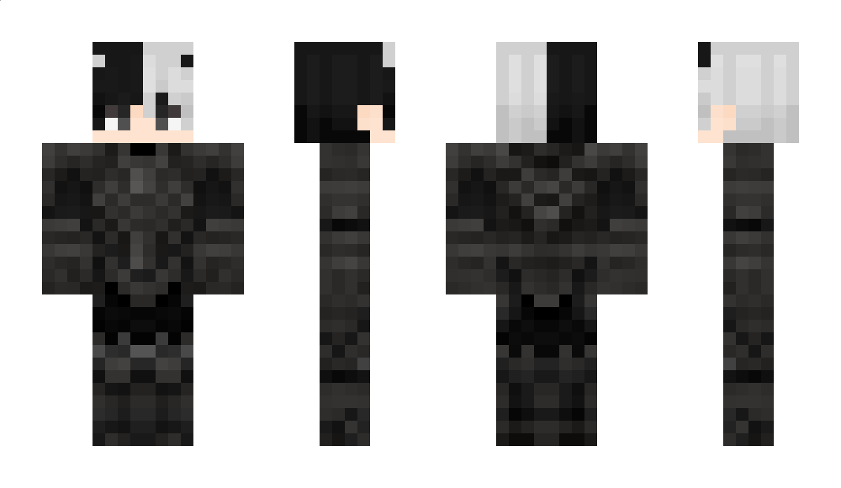 SaberEver Minecraft Skin