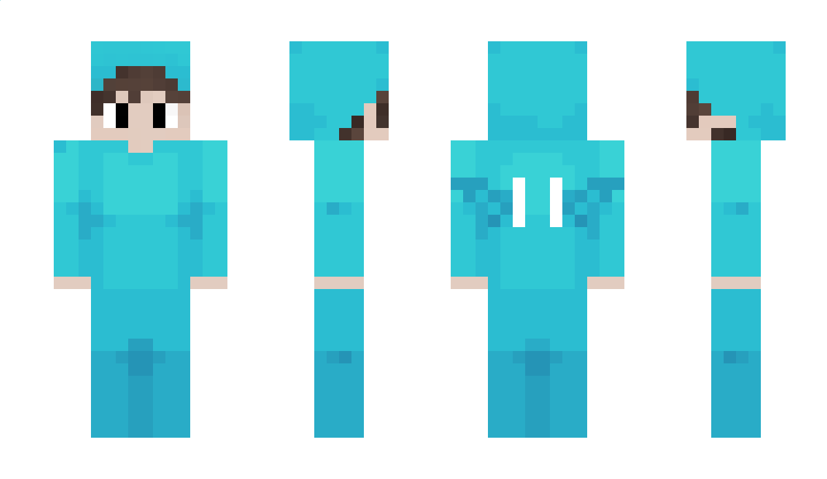 tekinseve Minecraft Skin