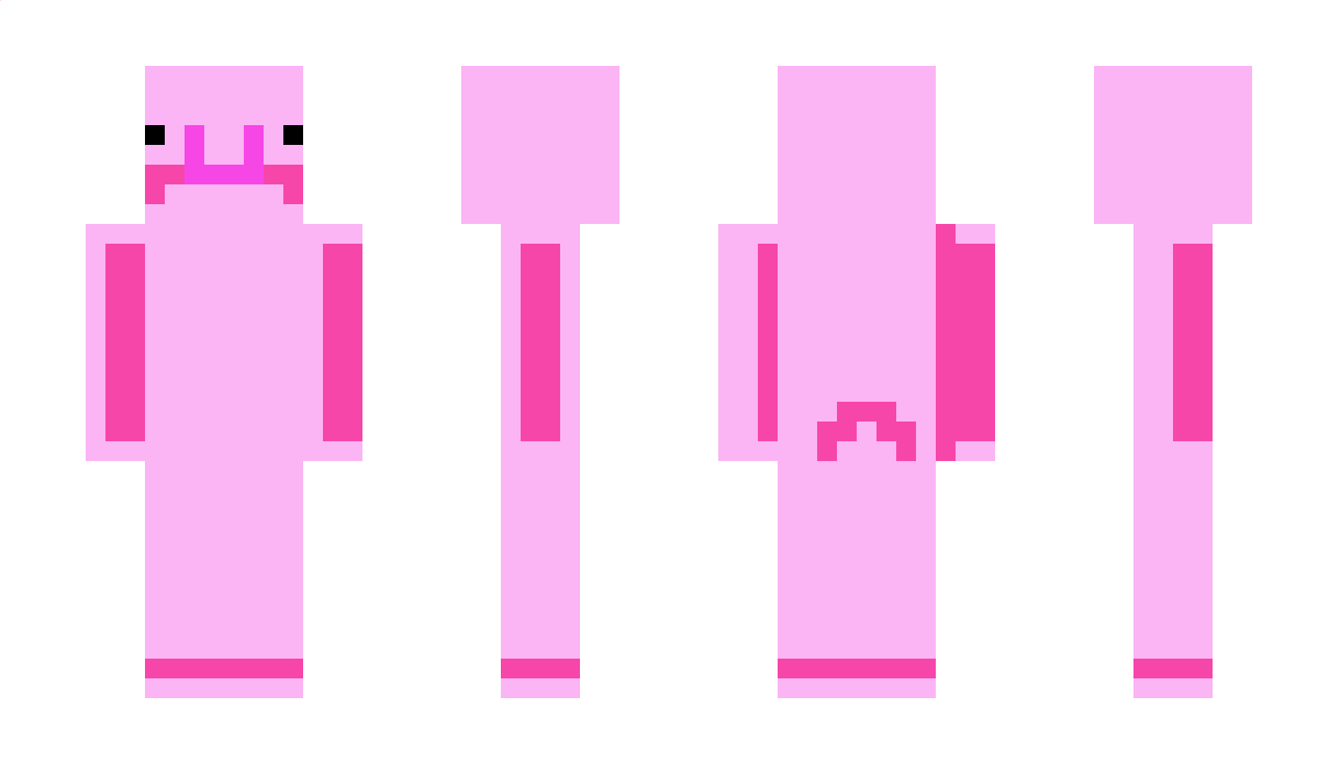 TashiPlayz Minecraft Skin