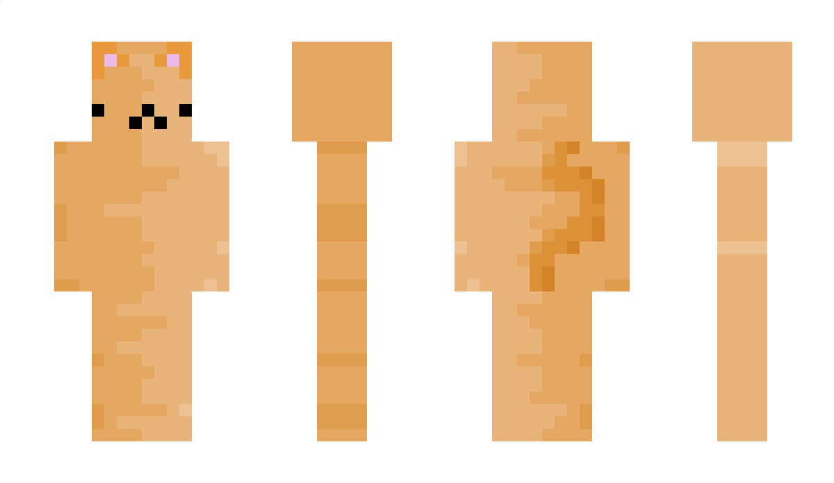 squid4858 Minecraft Skin