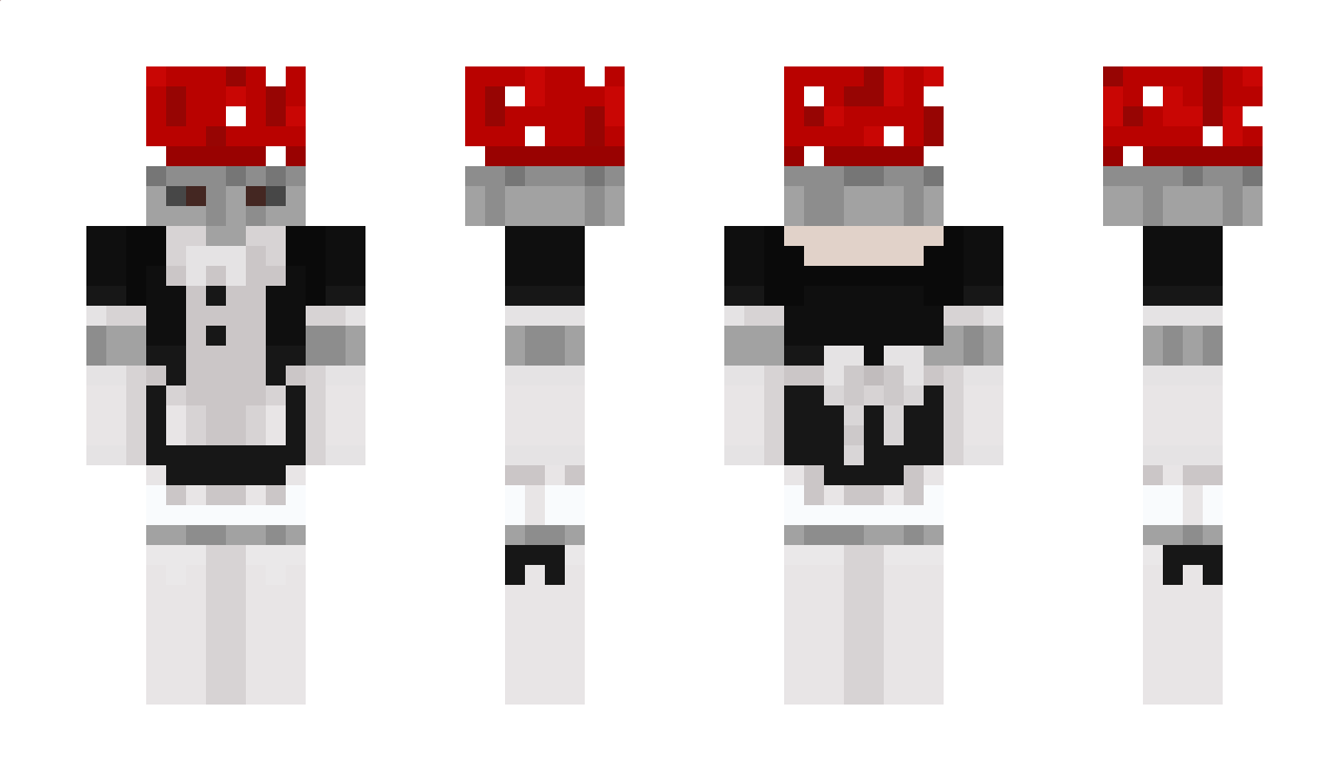 _sss_ Minecraft Skin