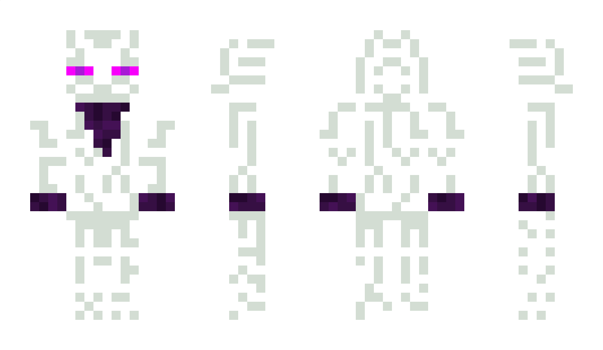 WhiteEnderGamer1 Minecraft Skin