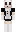 Lynaruu Minecraft Skin