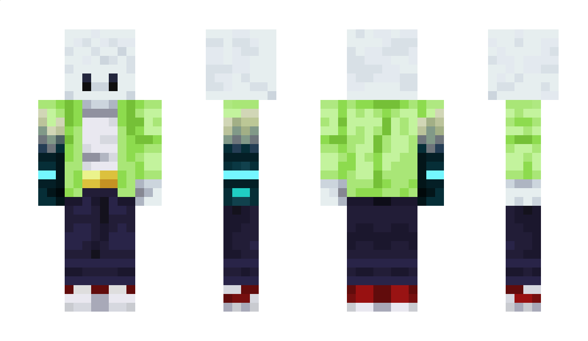 eP1C4gDoMC_ Minecraft Skin