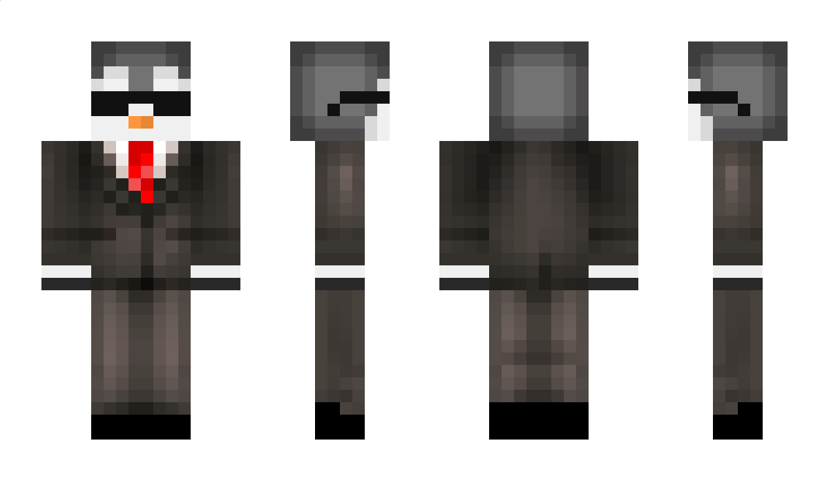 Sonnycat9201 Minecraft Skin