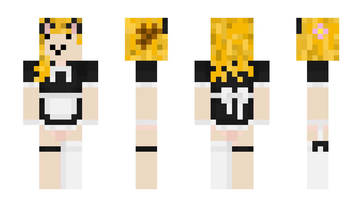 Telecnop Minecraft Skin