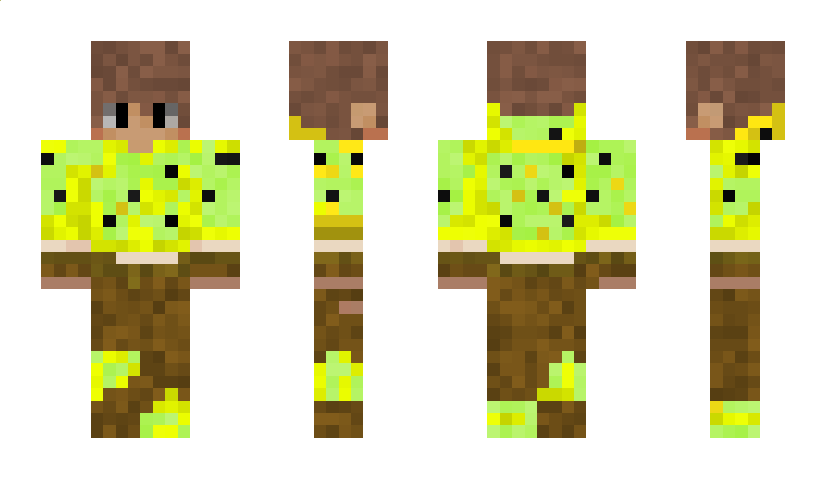 nolusami Minecraft Skin