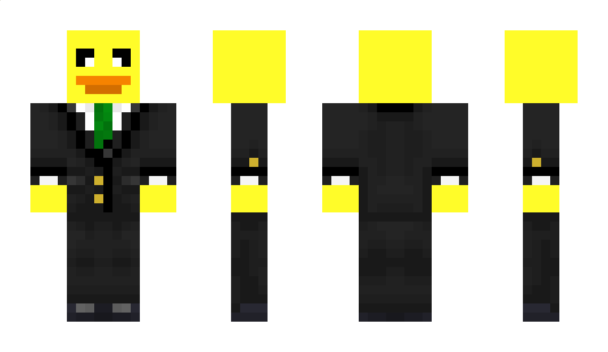 SchlaueEnte123 Minecraft Skin