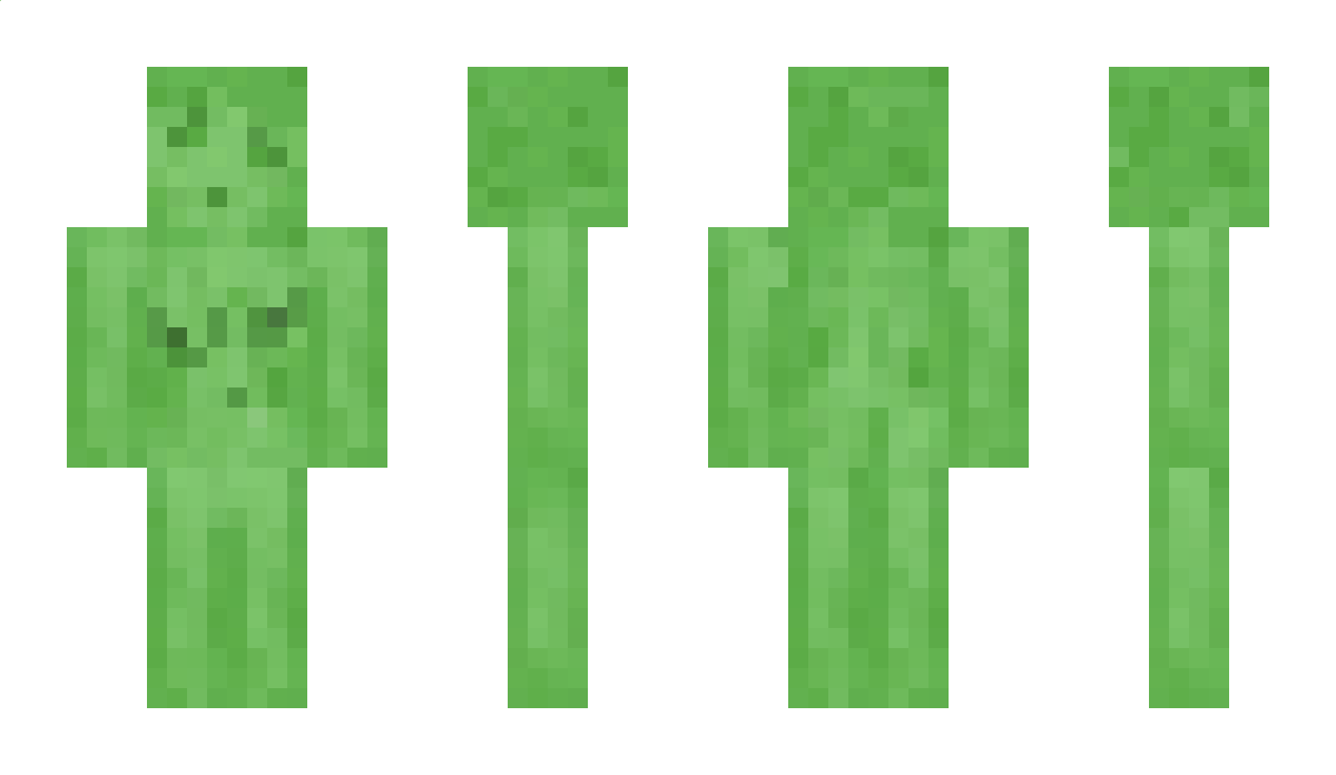 a_patchy Minecraft Skin